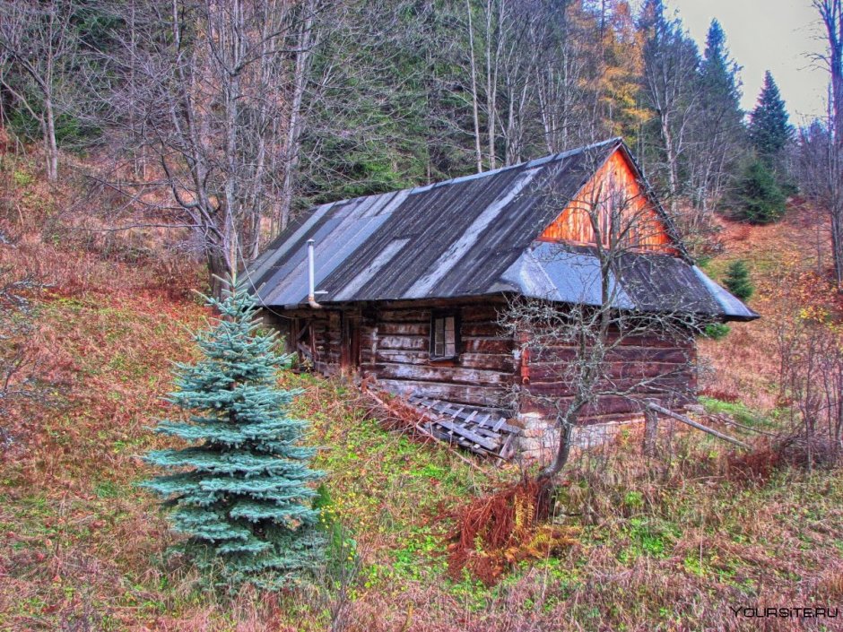 Домик лесника Зеленогорск