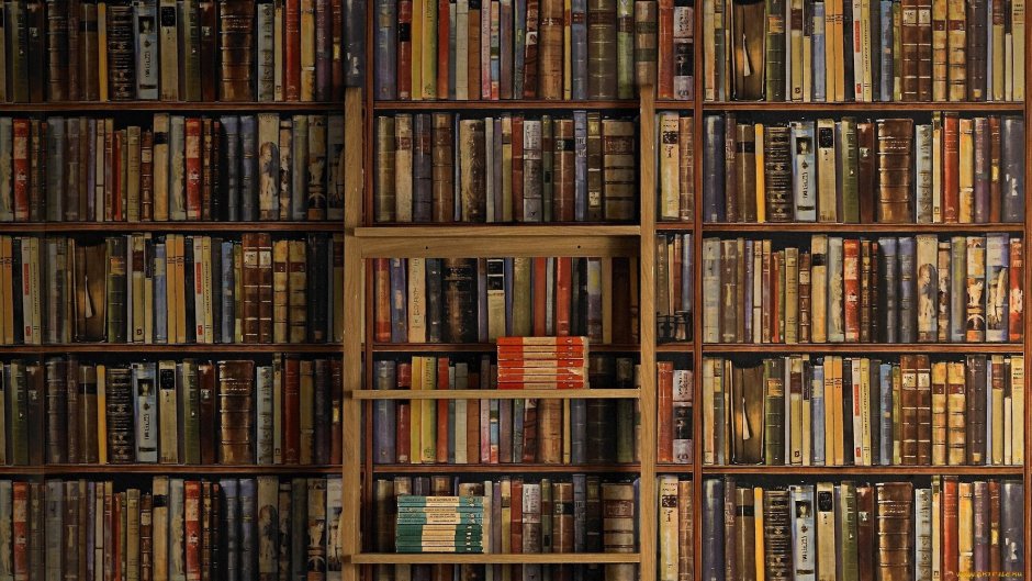 Полка для книг