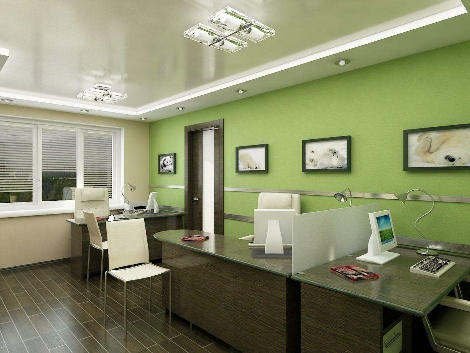 Зеленые стены в офисе