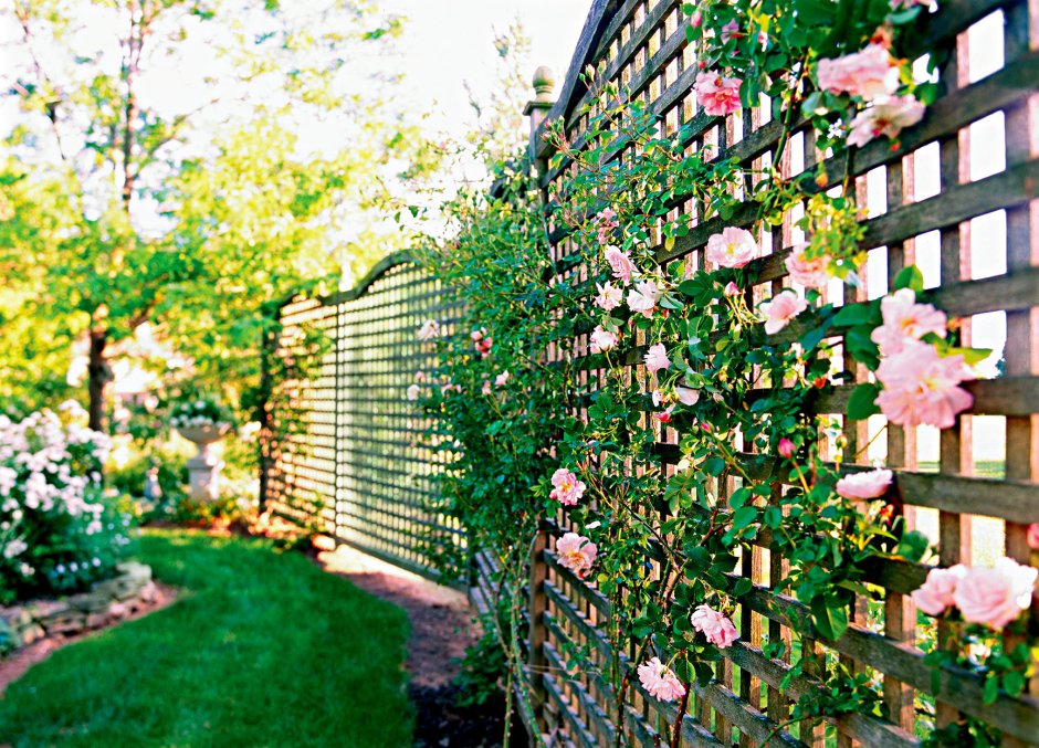 Сетка Шпалерная для роз Garden