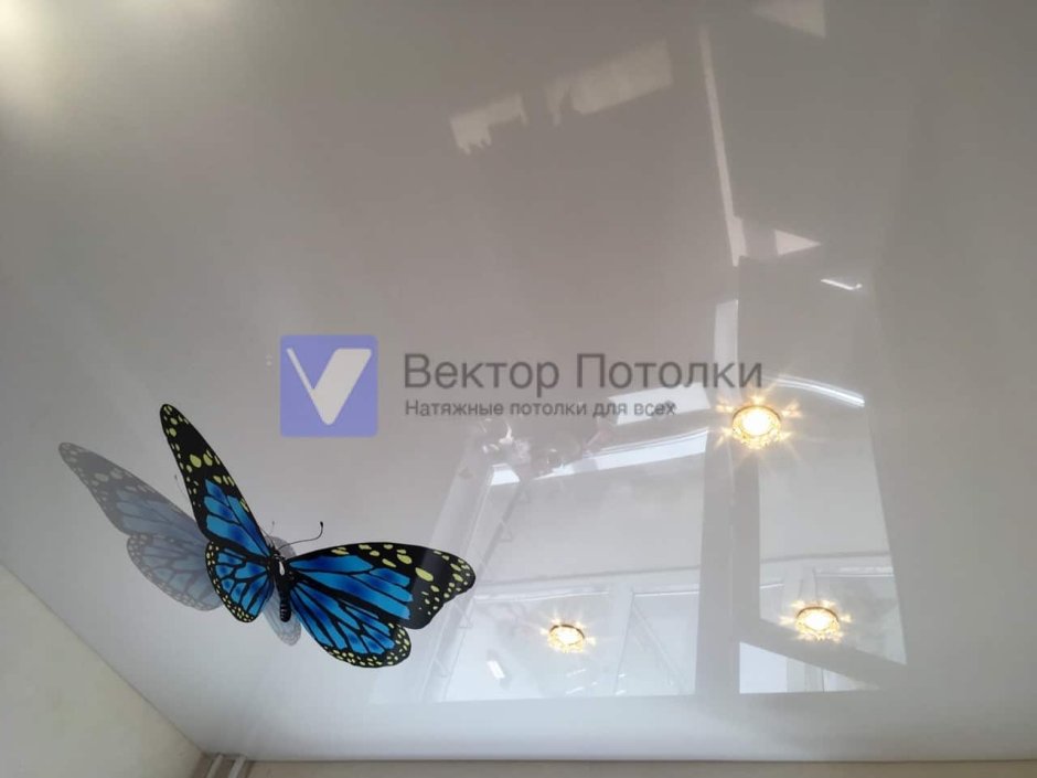 Дабл виден с бабочками потолки