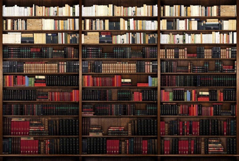 Книжные полки с книгами