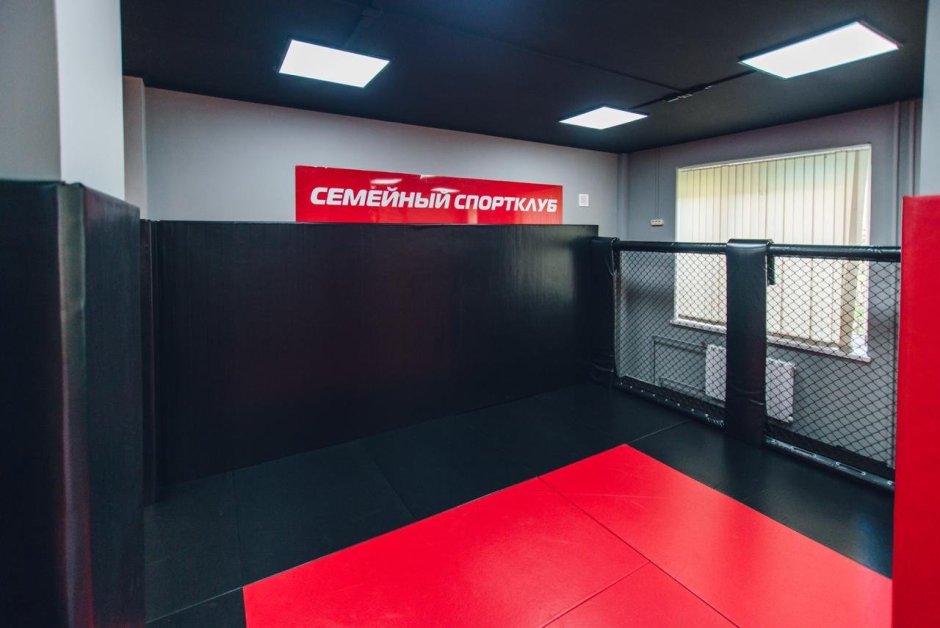 Мытищи ММА секция смешанные единоборства