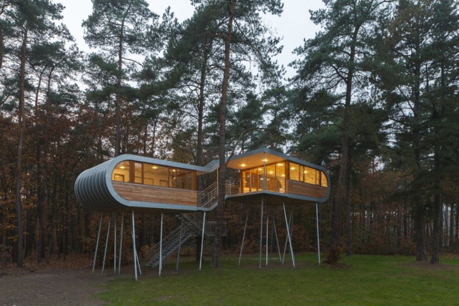 Дом на дереве (Treehouse) Баумраум