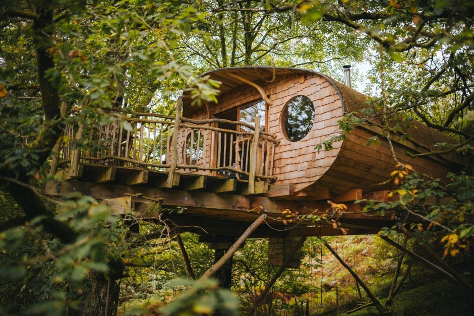 The Treehouse фильм