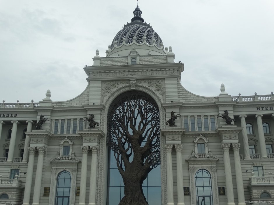 Казань дерево во Дворце земледельцев