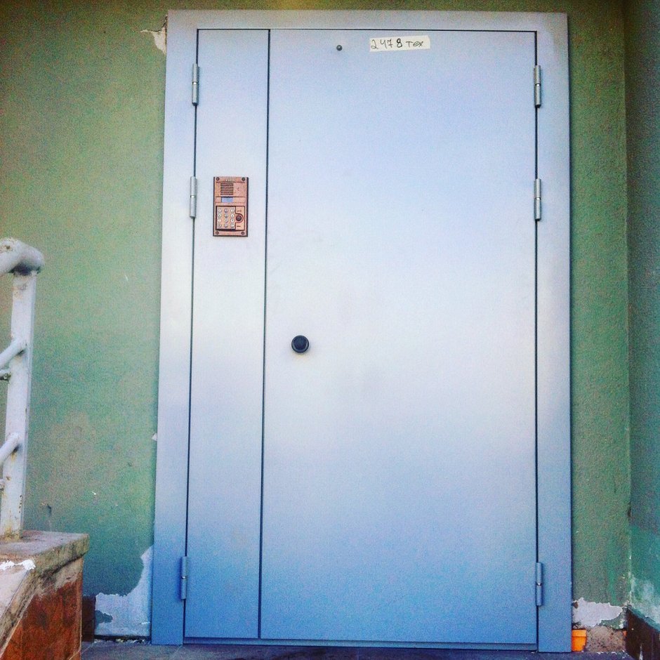 Дверь в подъезд с домофоном