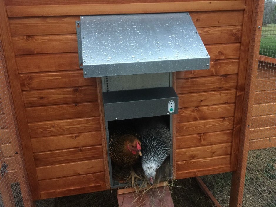 Automatic Chicken Coop