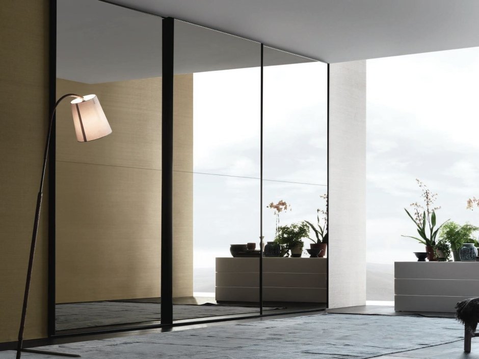 Mirrored Glass Doors