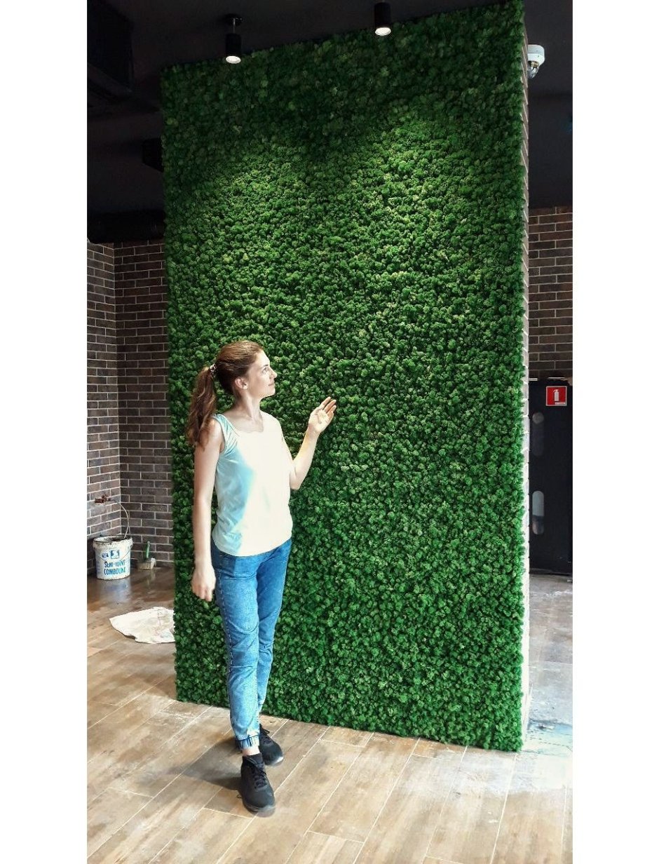 Wet Moss Инстаграмм