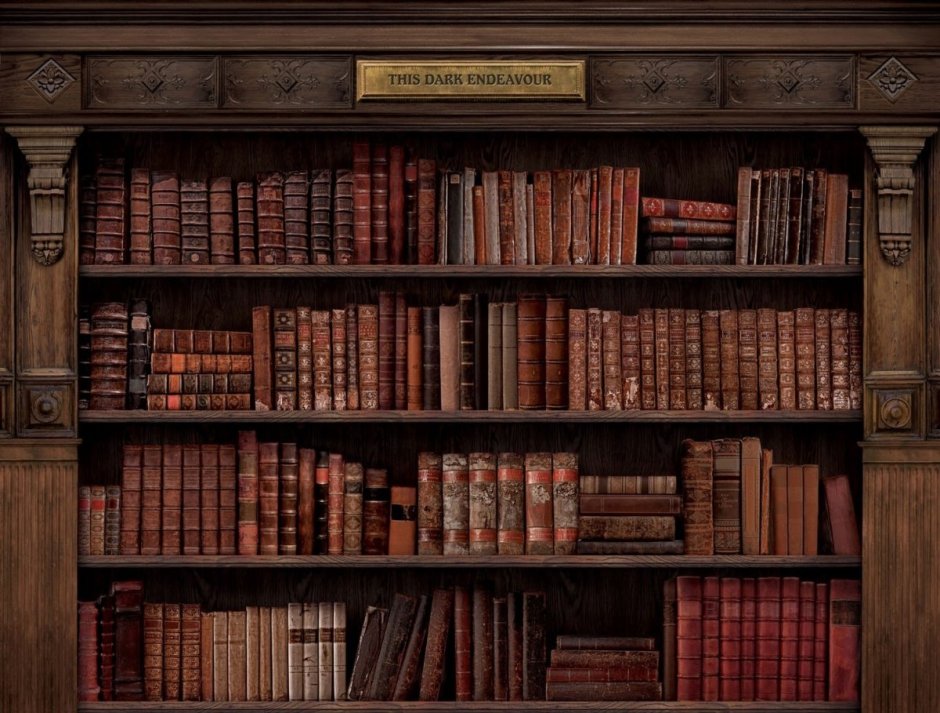Книжная полка Гарри Поттер