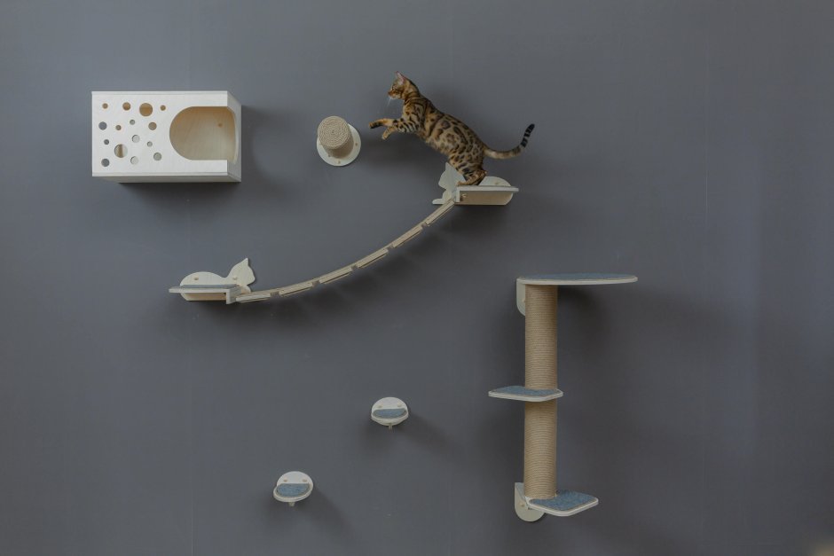 Настенный комплекс для кота