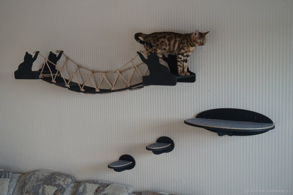 Полка настенная для кошек