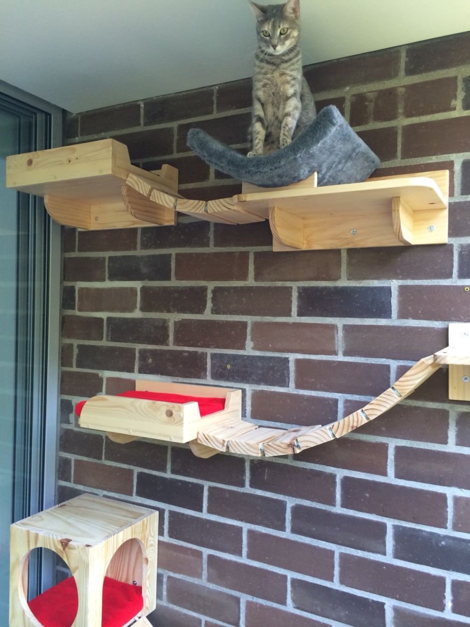 Балкон для кошки