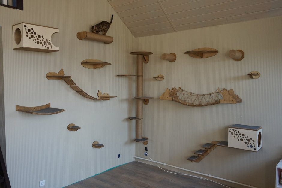 Настенный комплекс для кошек