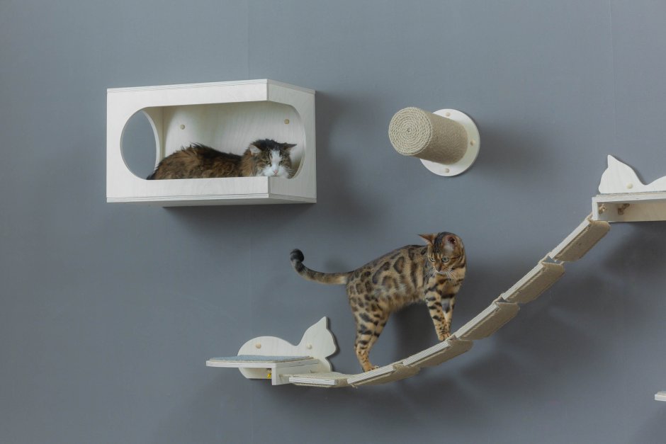 Полки для кошек