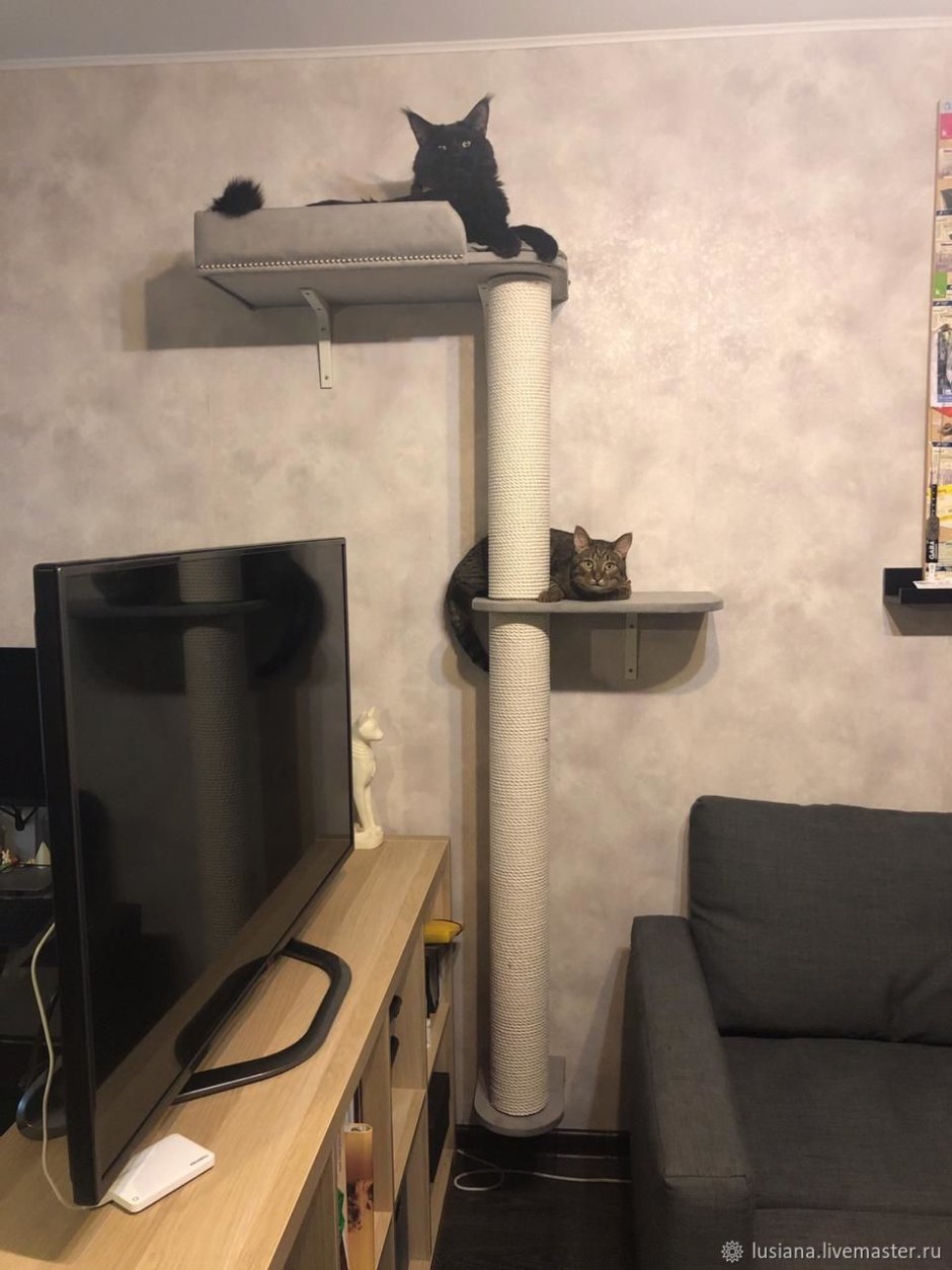 Комплекс лазалка для кошек