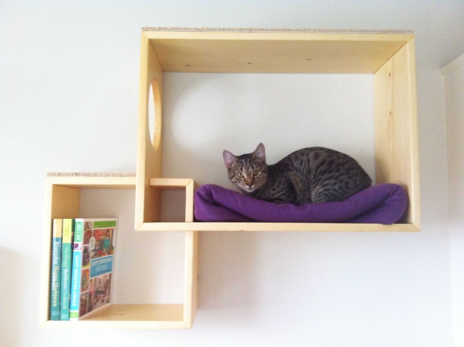 Стеллаж с местом для кота