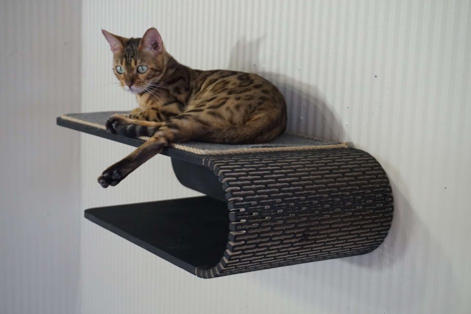 Настенные полочки для кошек