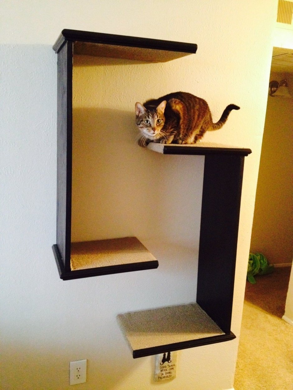 Угловая навесная полочка для кота