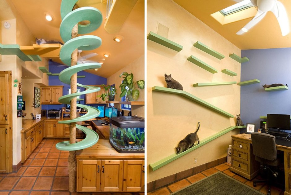 Игровая комната для кошек