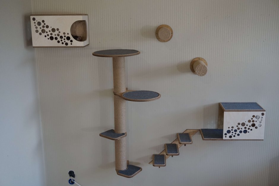 Комплекс для кошек Эверест