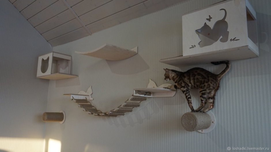Кошачий домик на стене