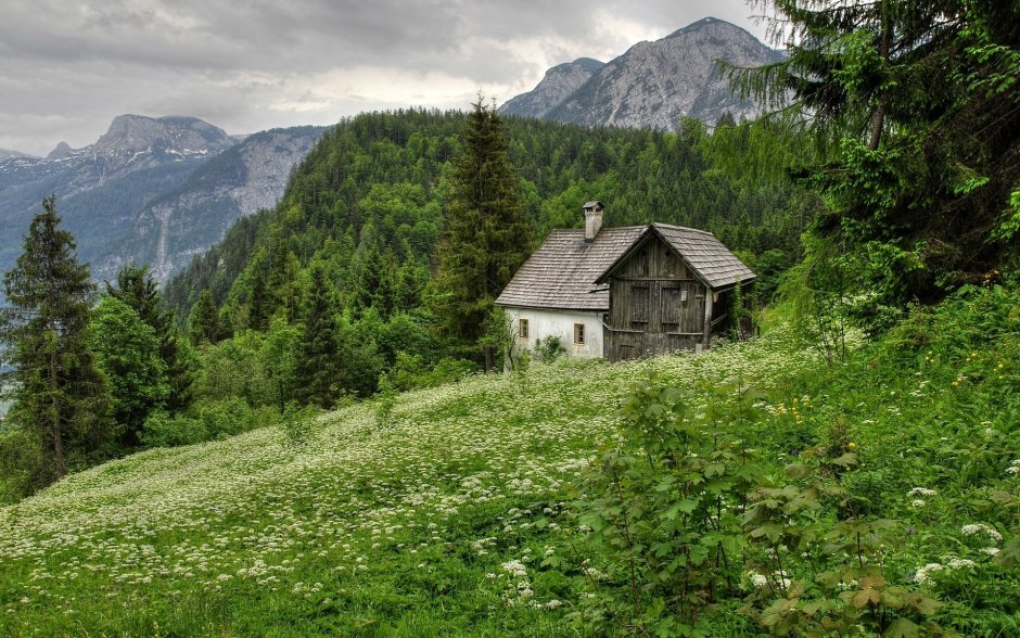 Сильвретта Альпы, Швейцария