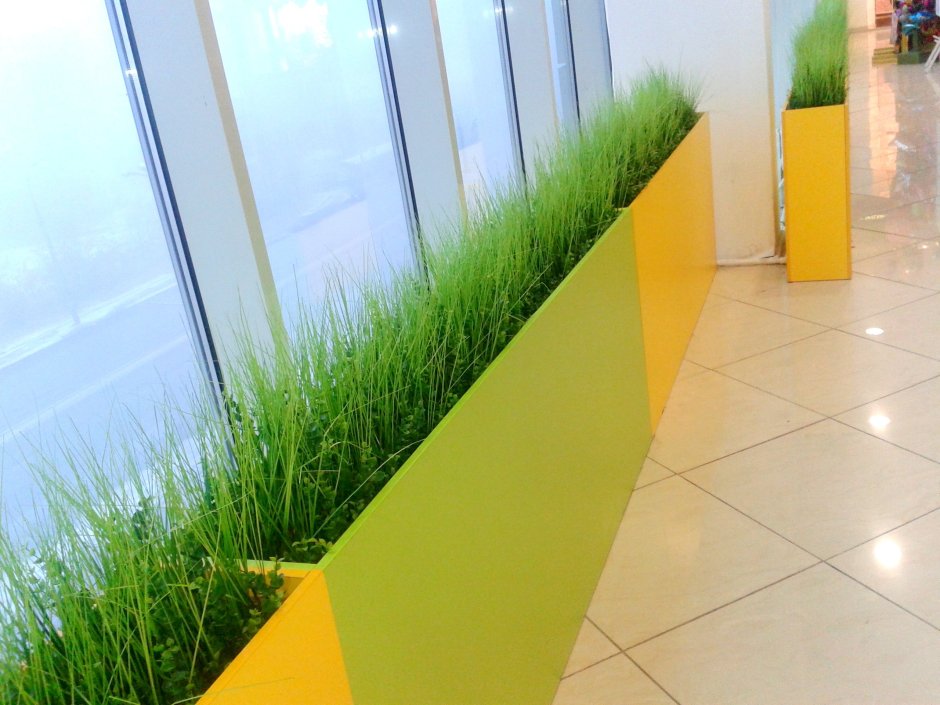 Искусственный газон в офисе