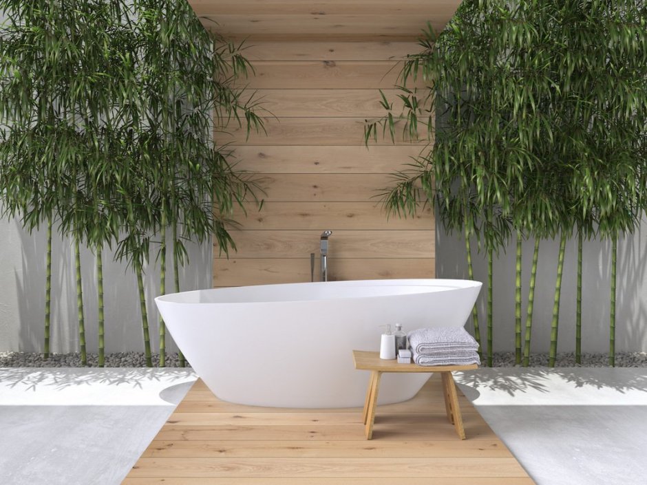 Бамбук живой в интерьере ванной