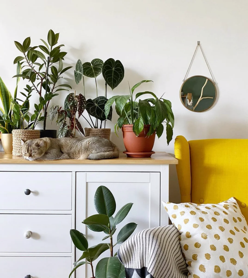 Environmentally friendly ikea