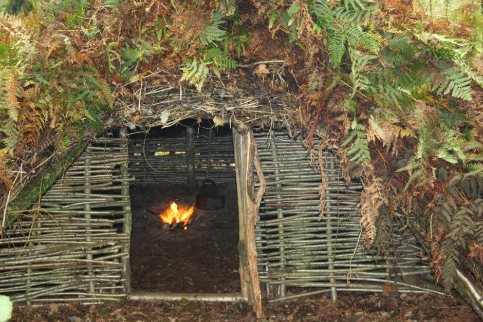 Бушкрафт Лесная лига