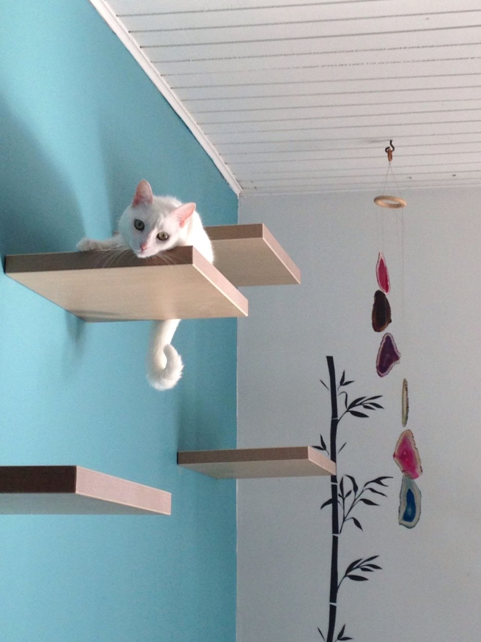 Настенные полки для кошек
