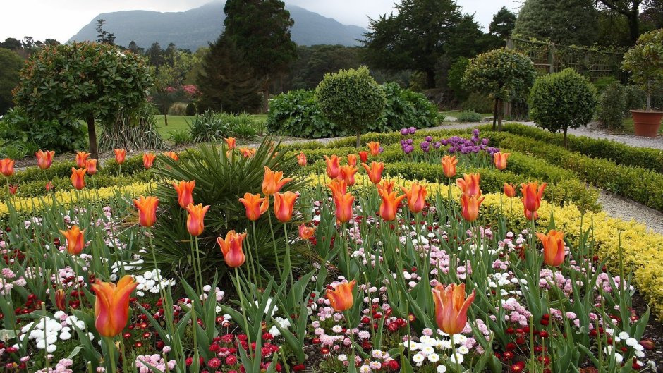 Клумба тюльпанов в Ботаническом саду