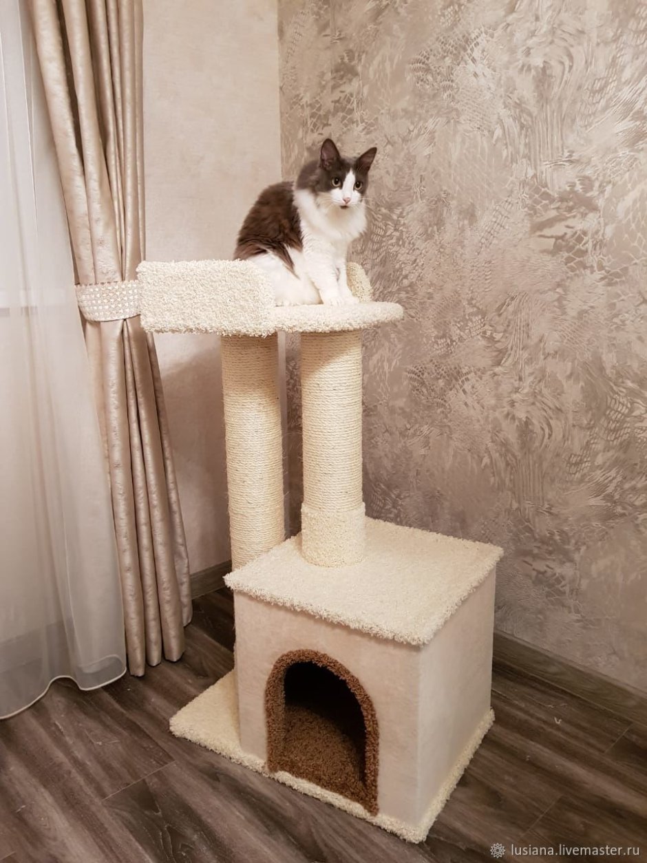 Кошачий комплекс для Мейн куна