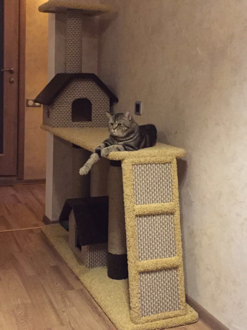 Домик для кошек