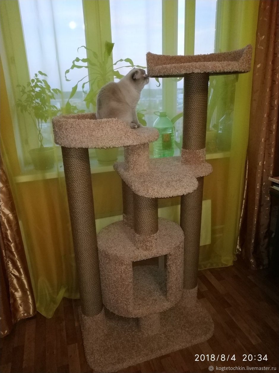 Игровой комплекс для Мейн куна
