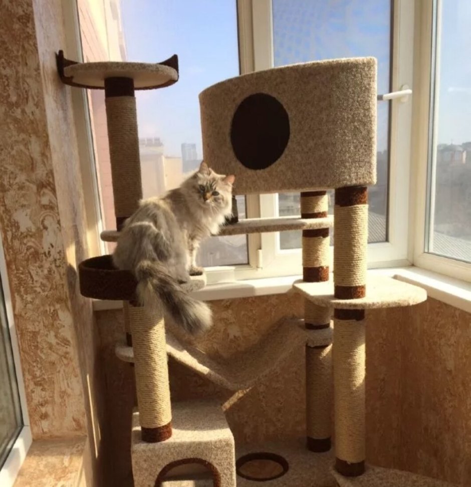 Игровой комплекс для кошек Каскад