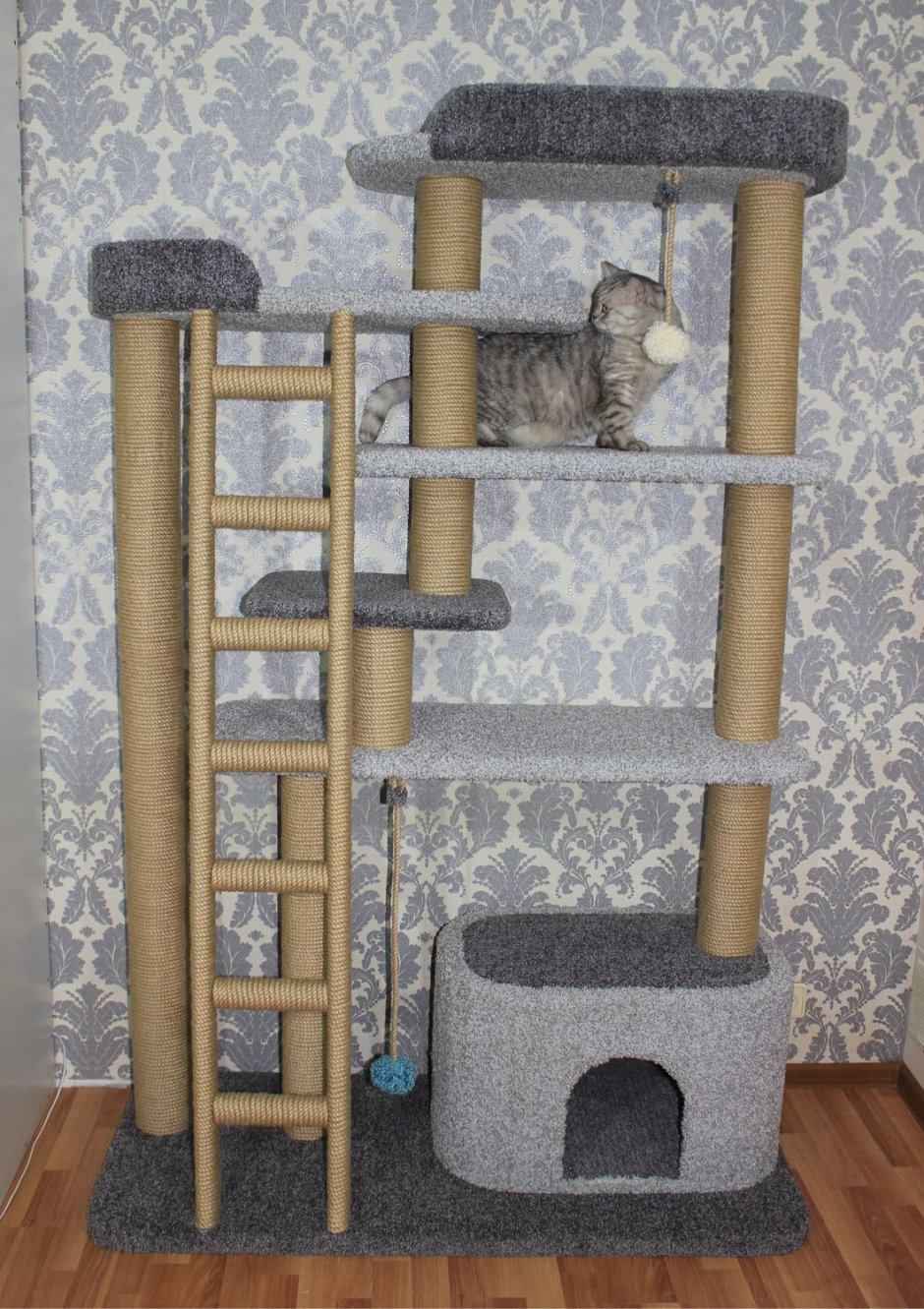 Кошачий комплекс для Мейн куна
