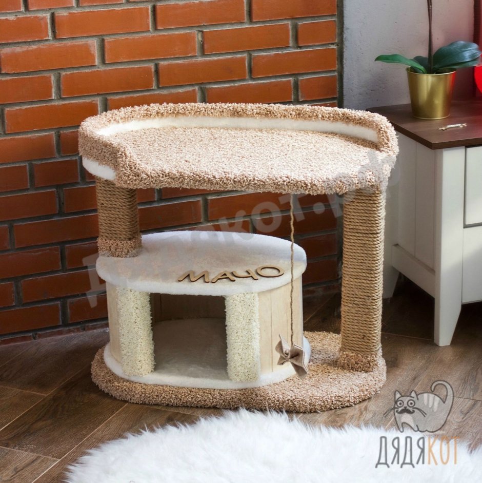 Кошачий комплекс для Мейн куна