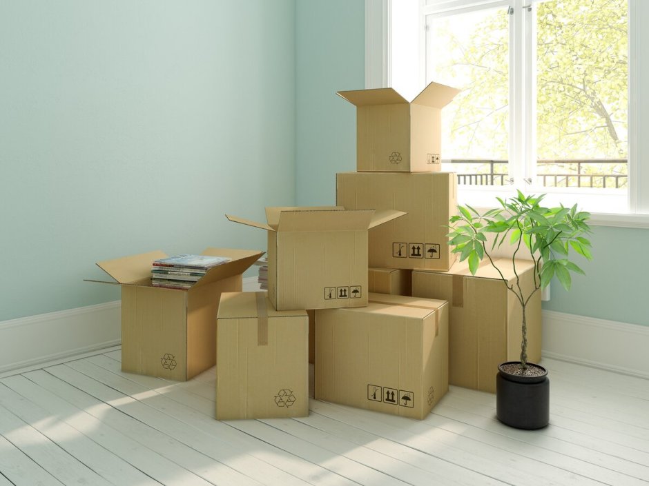 Cardboard Box in Factory