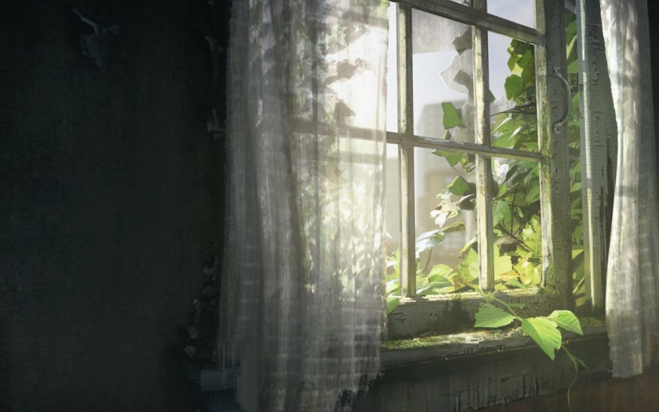 The last of us окно