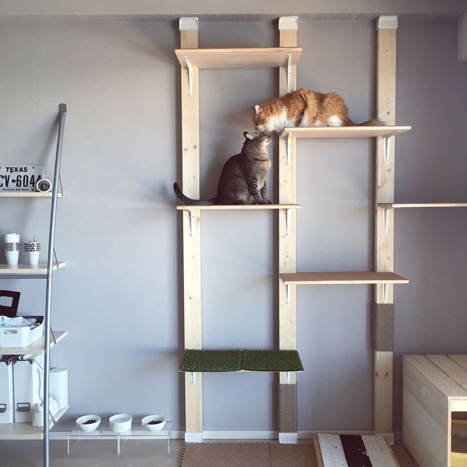 Стеллаж для кошек