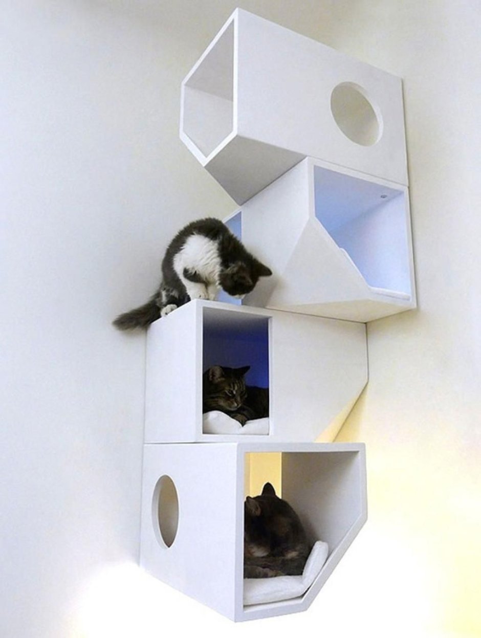 Catissa домики для кошек