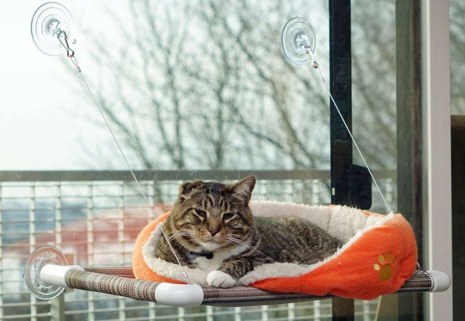Гамак для кота на окно
