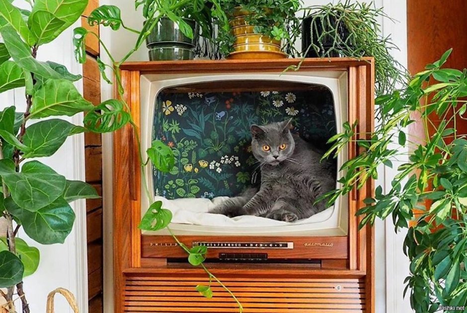 Дом для кошки из старого телевизора