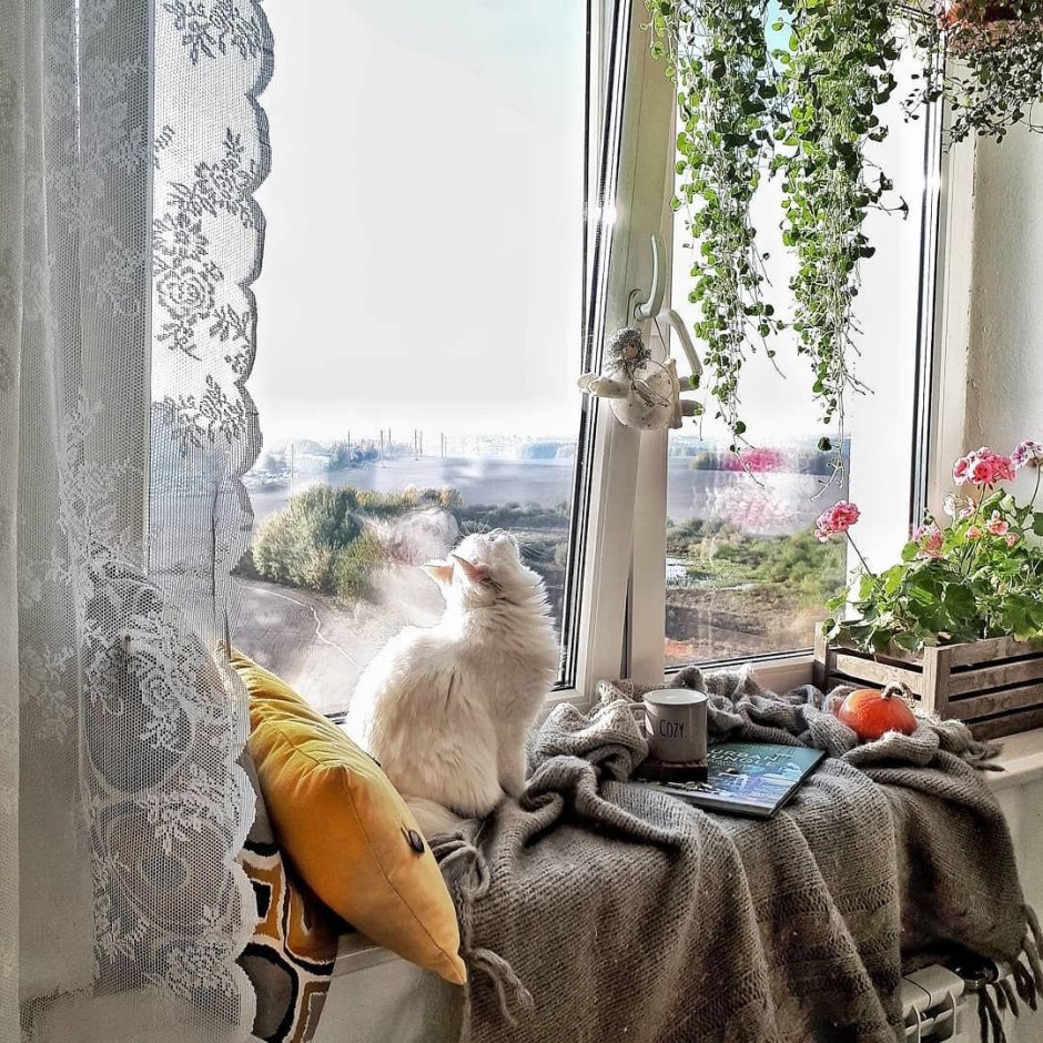Уютное окно