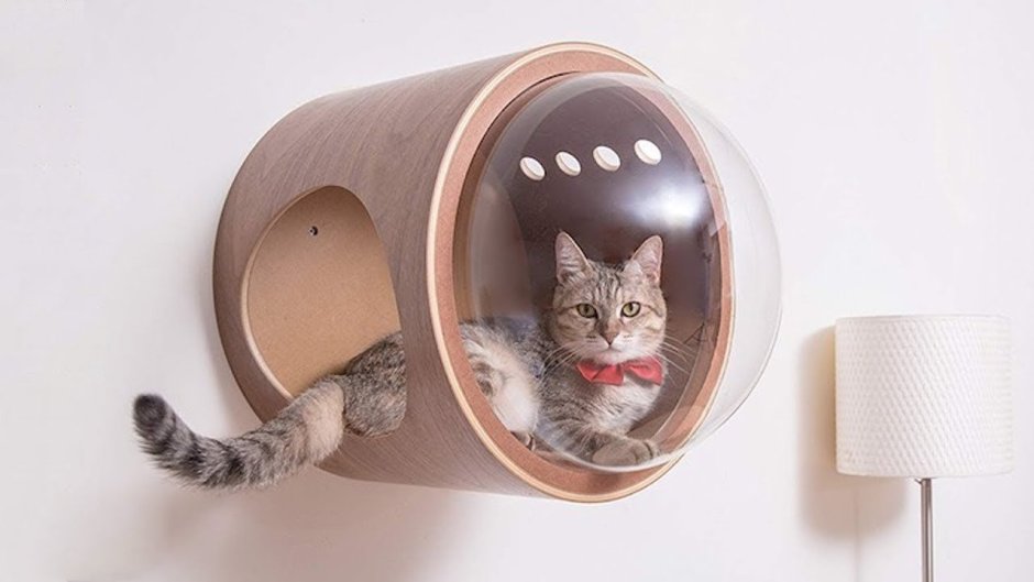 MYZOO Studio домики для кошек