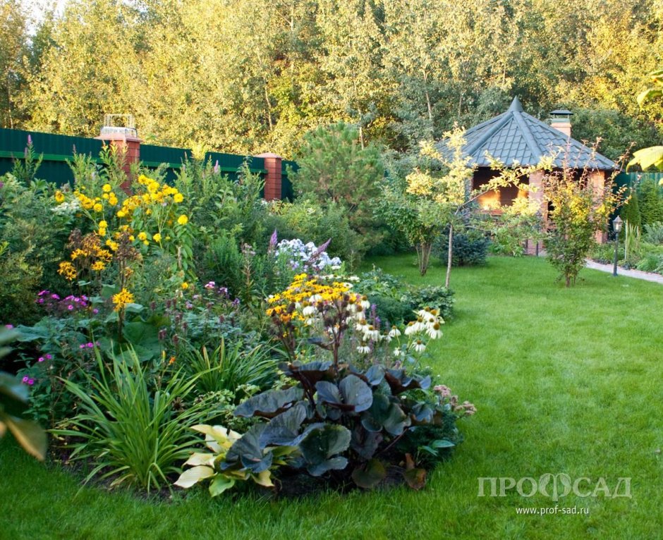 Евгений Сапунов ландшафтный Архитектор