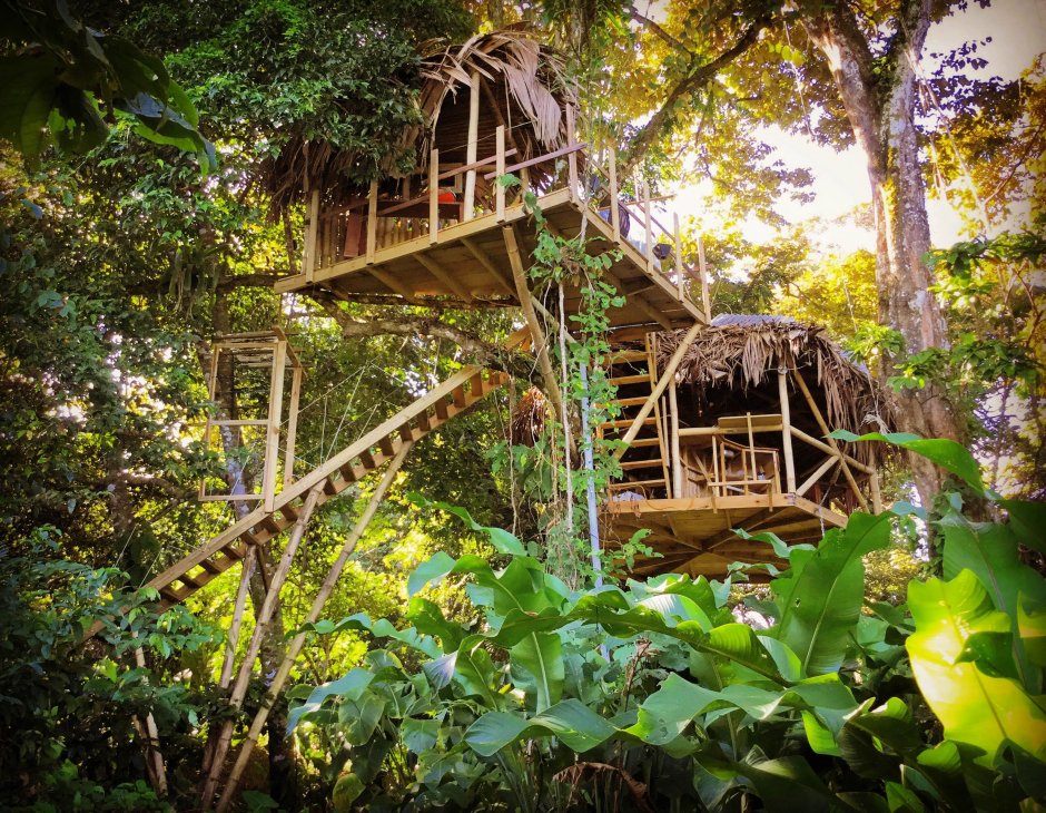Tree House Кишинев